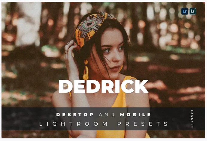 [Elements.Envato] Dedrick Desktop and Mobile Light_0.jpg
